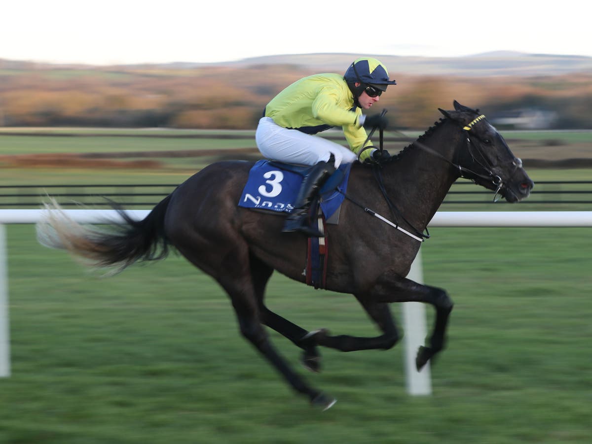 Irish Grand National tips: Espanito Bello can extend novices’ run at Fairyhouse
