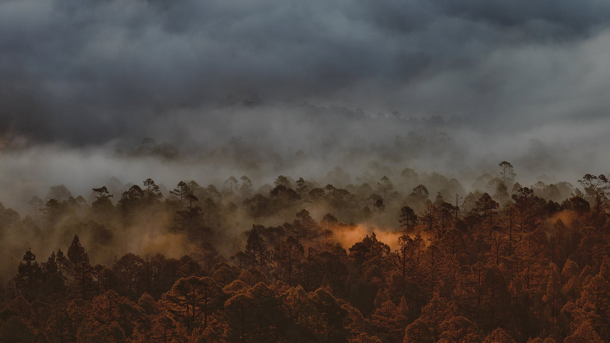 Mount Teide on Tenerife was the setting for the winner of the Environmental category