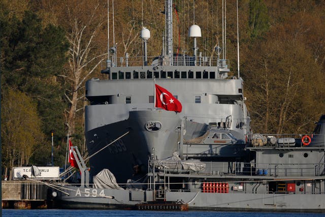 Turkey Admirals