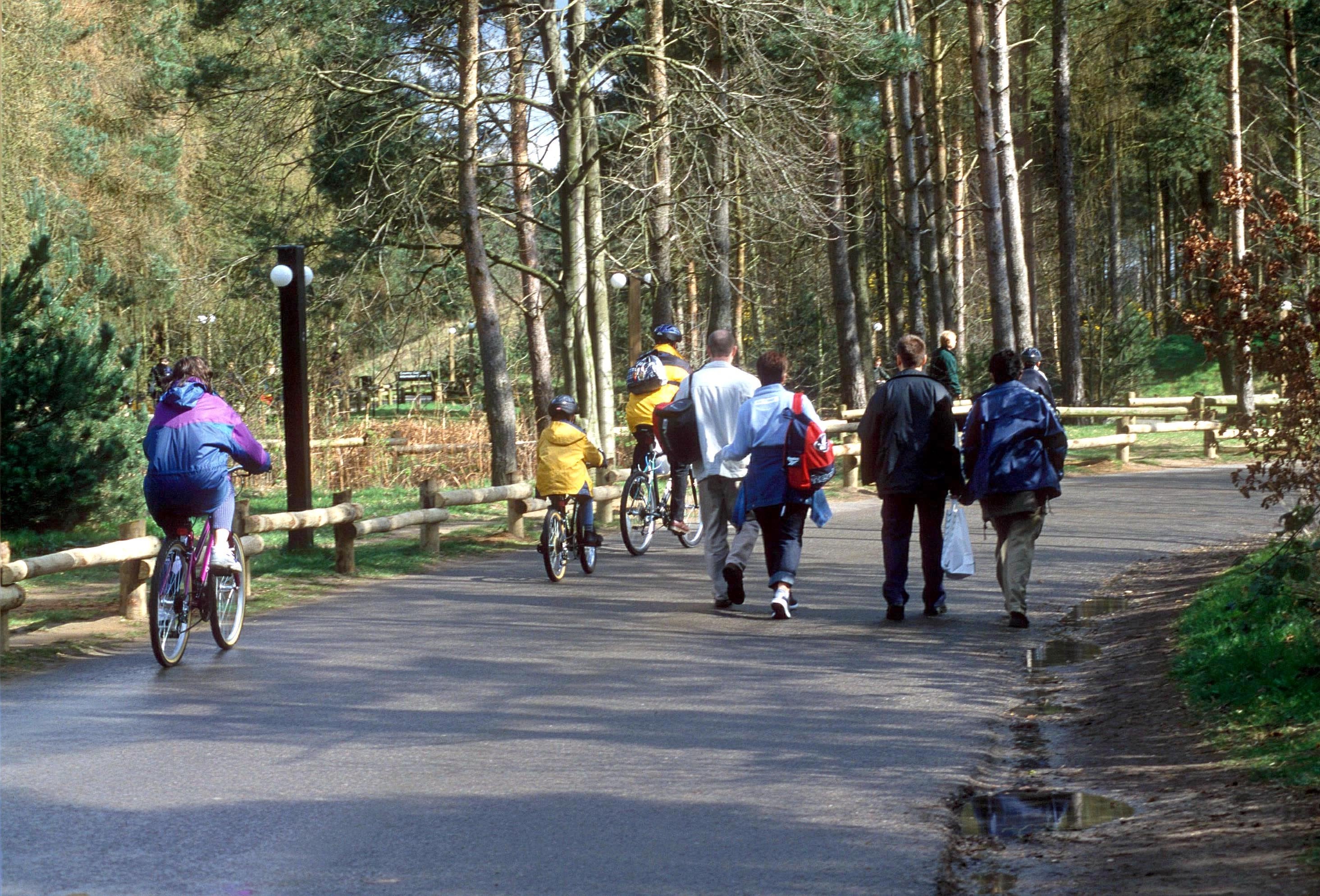 <p>Center Parcs: not like it used to be</p>
