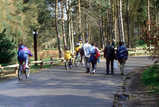 <p>Center Parcs: not like it used to be</p>