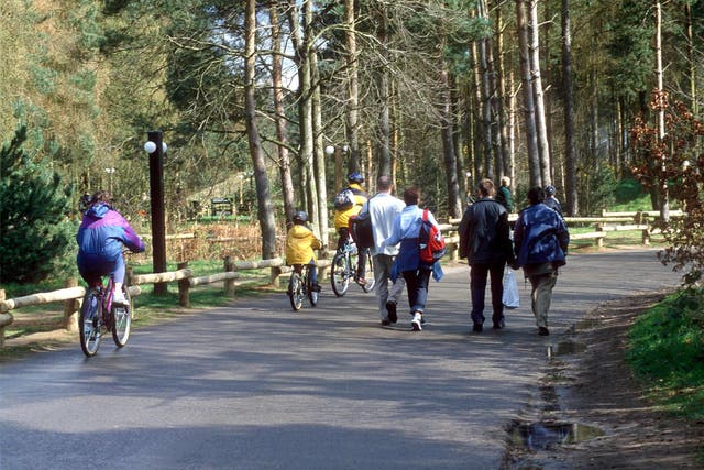 <p>Center Parcs: not like it used to be</p>