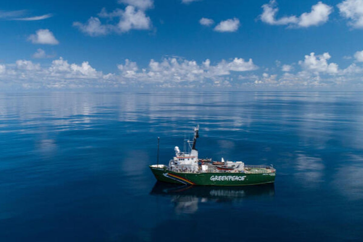 I’m set to board Greenpeace’s Arctic Sunrise ship and expose the ...