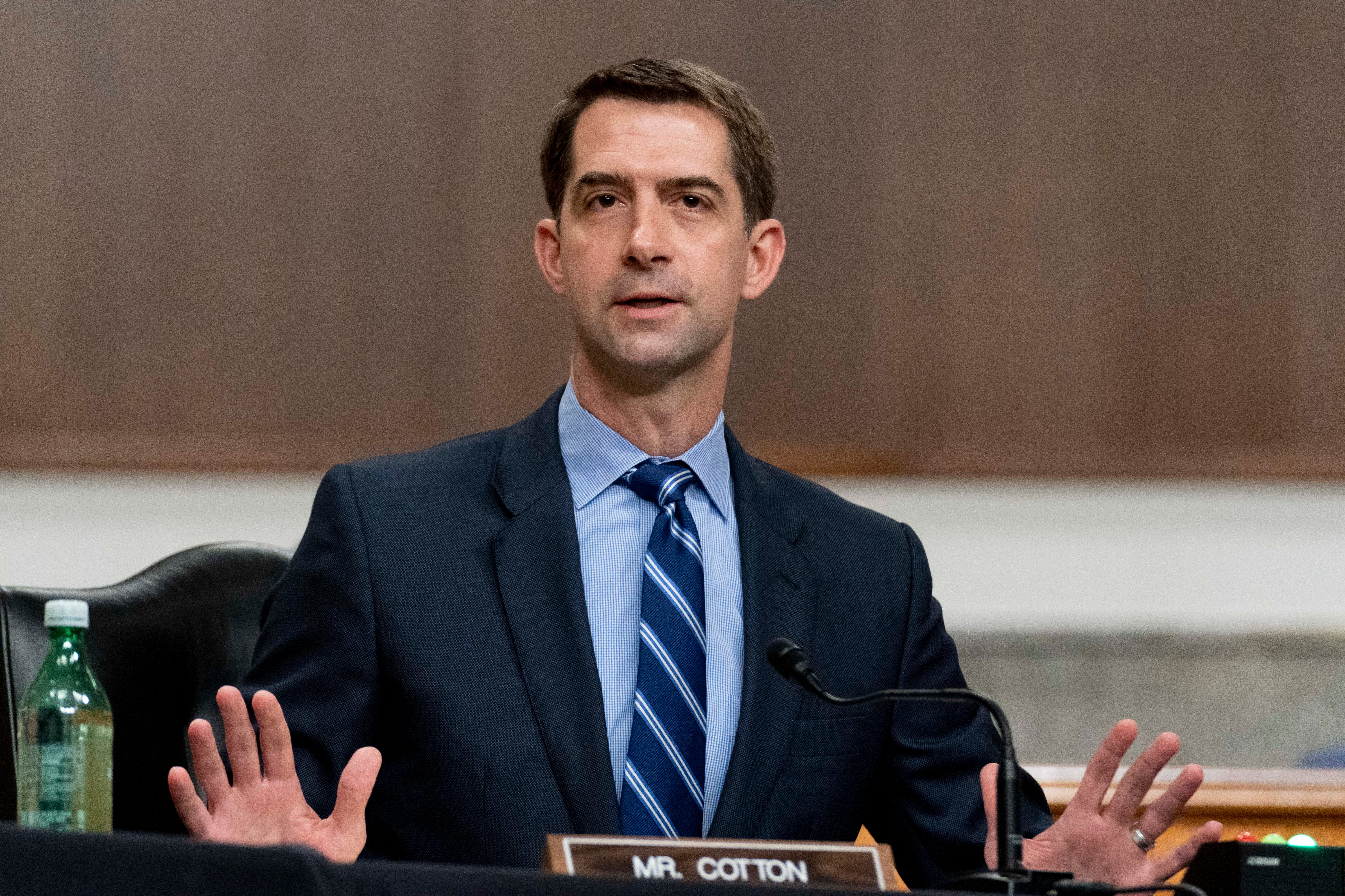 <p>Tom Cotton was responding to a CNN report about crime rises in major urban districts in 2020</p>