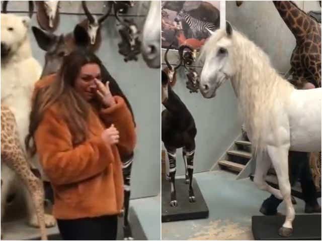 Luisa Zissman reacts to the unveiling of her stuffed horse, Madrono