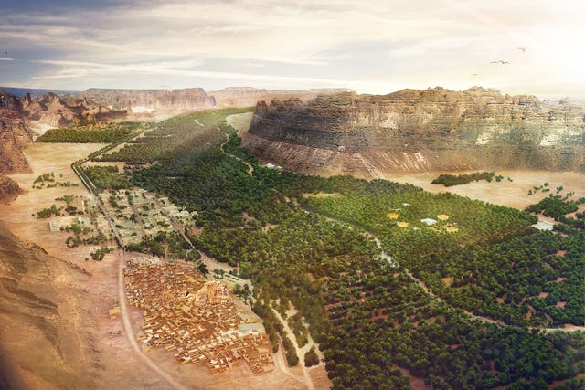 <p>AlUla contains a rich natural oasis and plans are underway to plant many more trees</p>