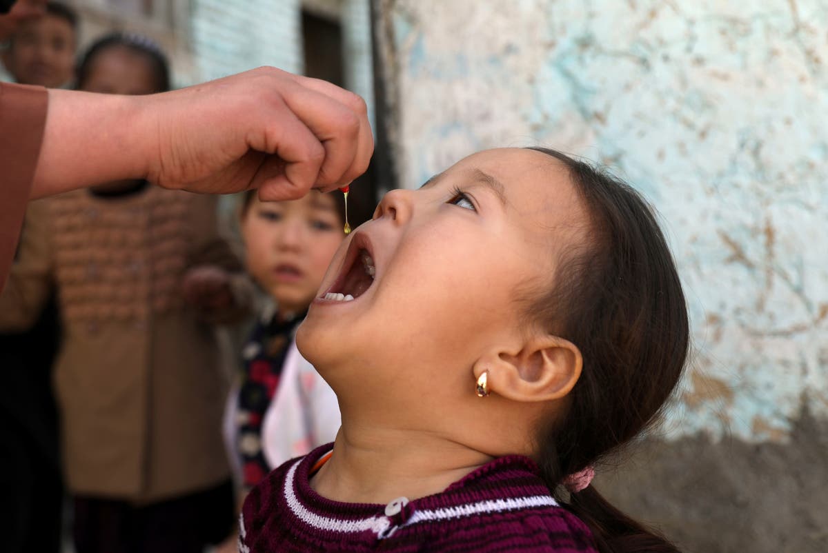 Afghans work to stem polio rise amid violence, pandemic Afghans work to stem polio rise amid violence, pandemic