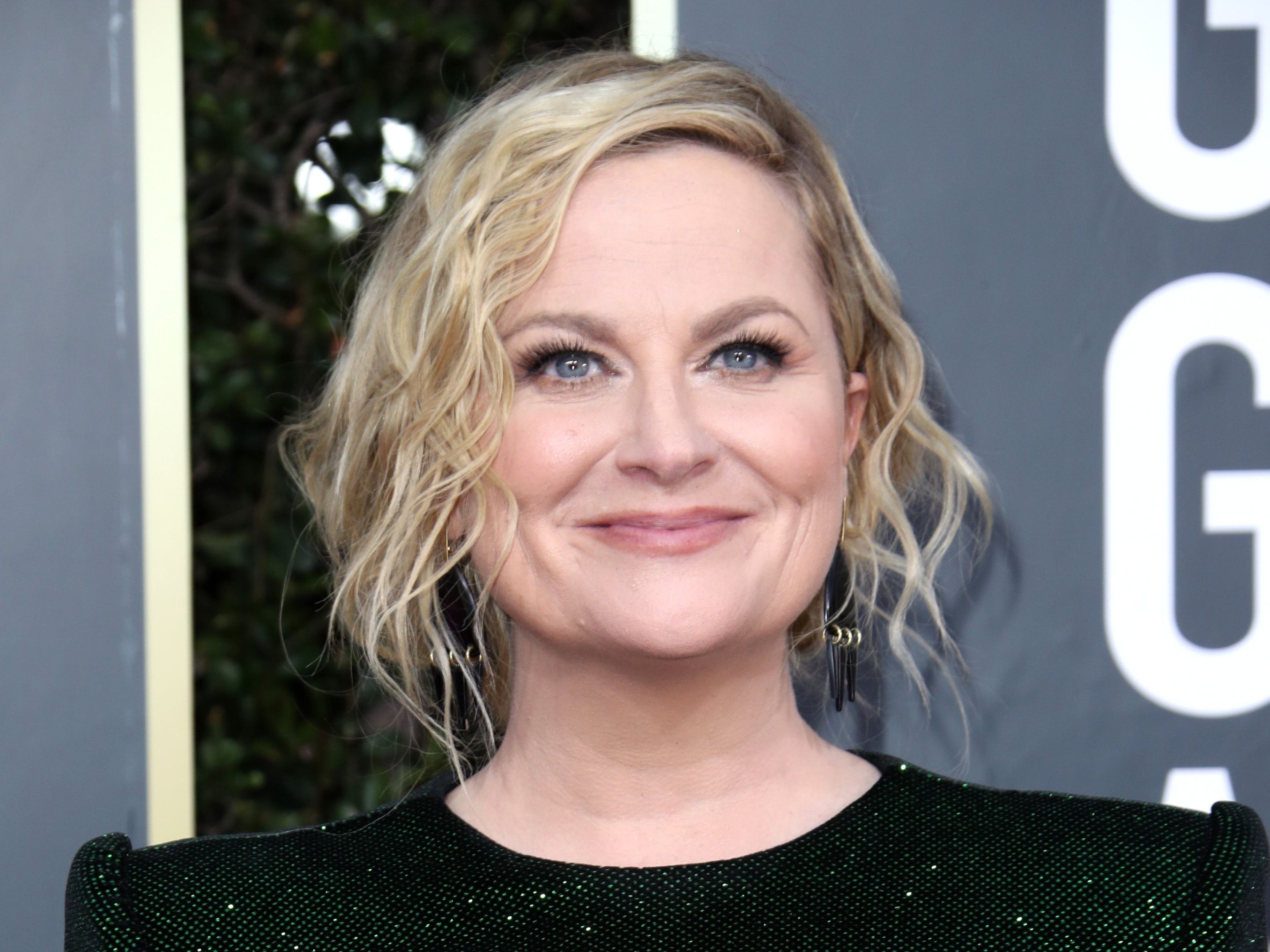 Amy Poehler