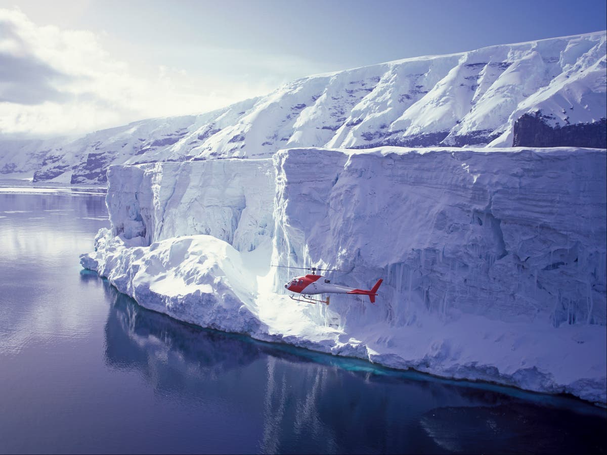 Risk of ice. Острова Баллени Антарктида. Шельфовый ледник. Ледники стока. Шельфы льда это.