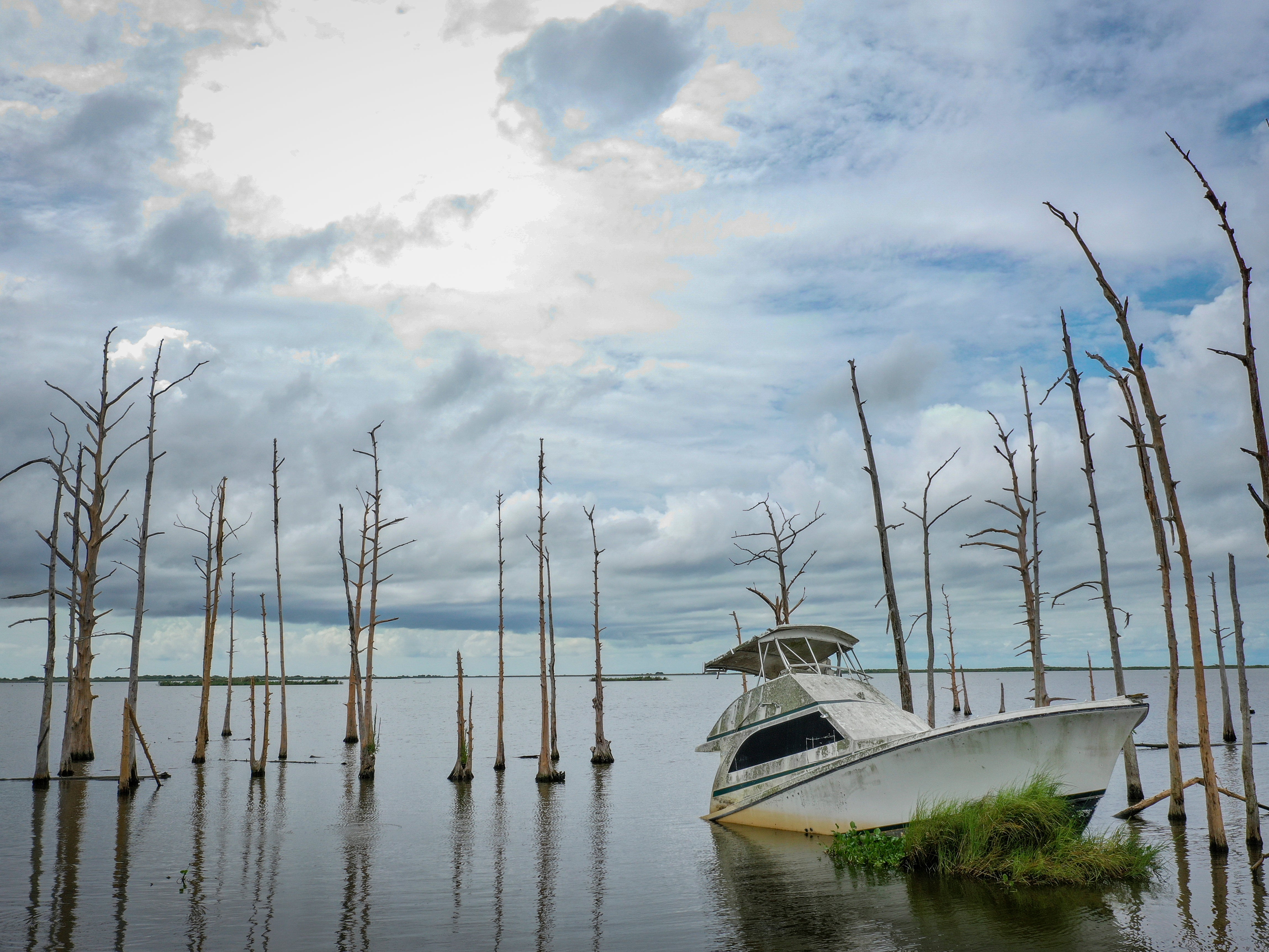 <p>An abandoned boat sits in the water amid dead cypress trees in coastal waters and marsh August 26, 2019 in Venice, Louisiana</p>