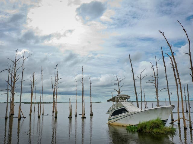 <p>An abandoned boat sits in the water amid dead cypress trees in coastal waters and marsh August 26, 2019 in Venice, Louisiana</p>