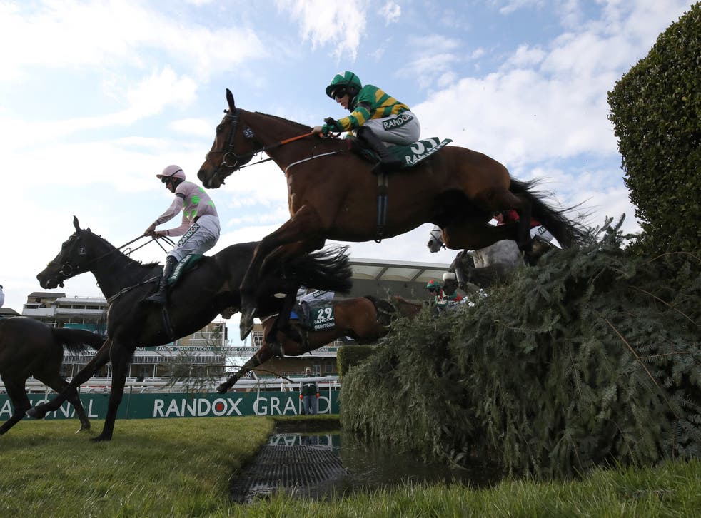 The Long Mile was put down following the 2021 Grand National