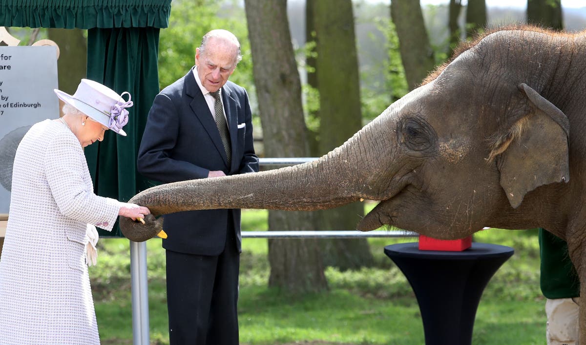 &lsquo;If nature doesn&rsquo;t survive, neither will man&rsquo; &ndash; Prince Philip&rsquo;s commitment to conservation will be his legacy