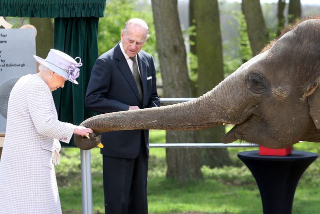 <p>Queen Elizabeth II and Prince Philip in 2017</p>