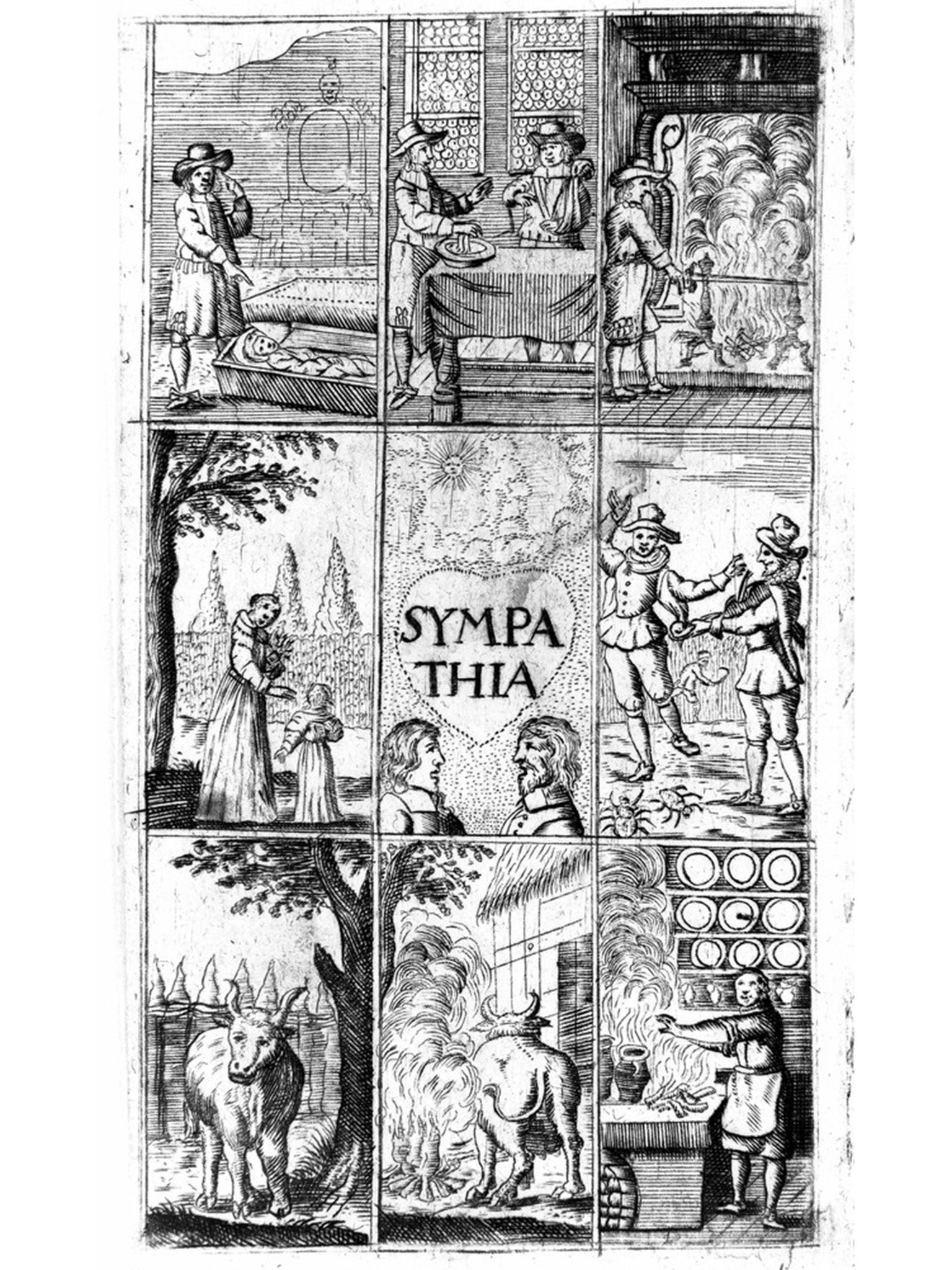 Sir Kenelm Digby’s ‘Touching the cure of wounds by the powder of sympathy’ from 1677. Fludd and Digby claimed that the death of the grafted-on noses was proof of a quasi-scientific idea known as the doctrine of sympathy