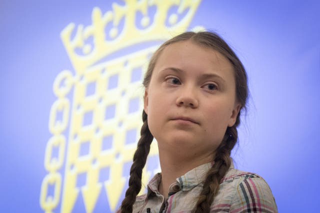 Greta Thunberg comments