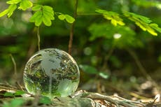 Earth Day 2021: When is it and how are people marking global day of environmental action?