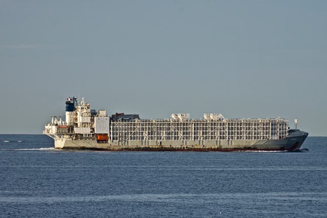 New Zealand Animal Exports