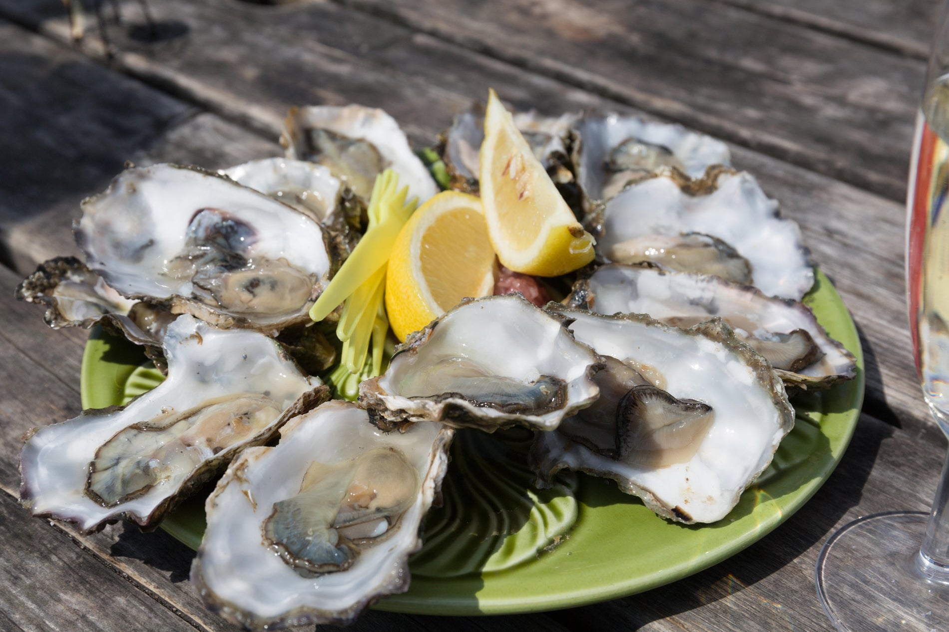 A plate of a dozen oysters at West Mersea Island (Alamy/PA)