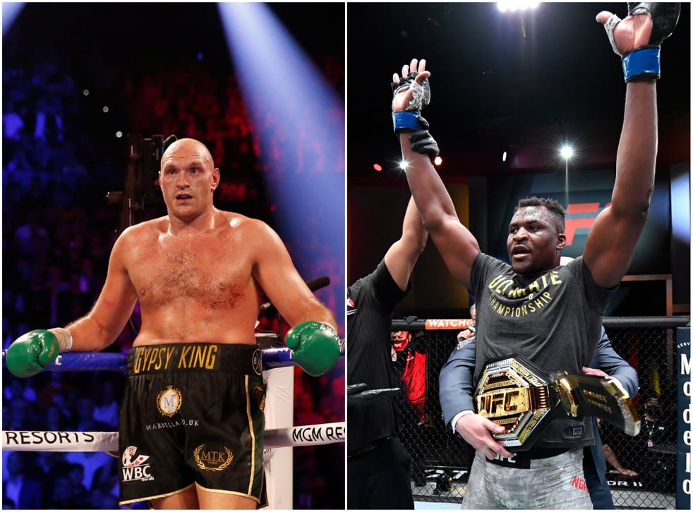 Forfatter Alfabetisk orden svulst Tyson Fury in Twitter exchange with UFC heavyweight world champion Francis  Ngannou | The Independent