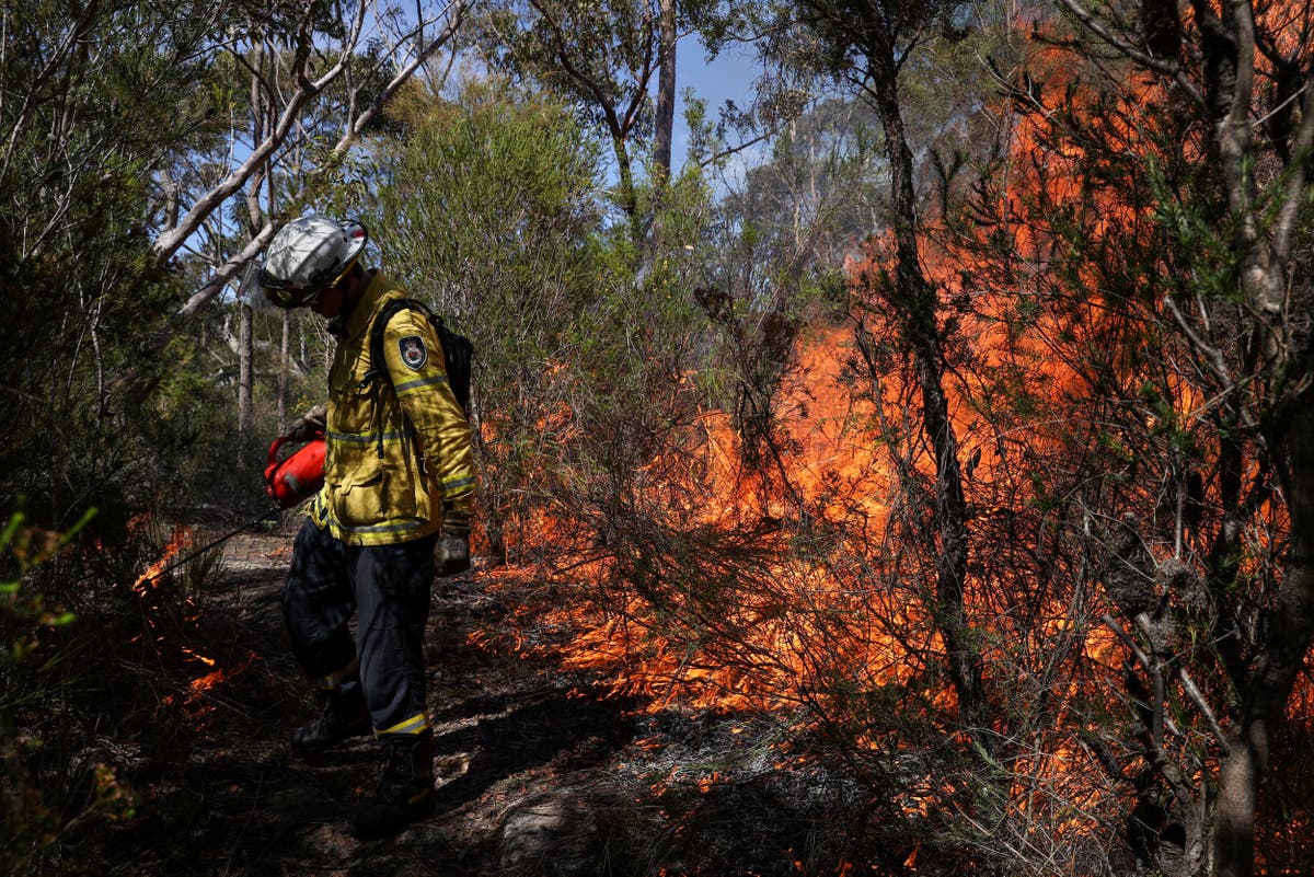 Pollution from Australia wildfires &lsquo;warmed stratosphere by 1&deg;C for six months&rsquo;