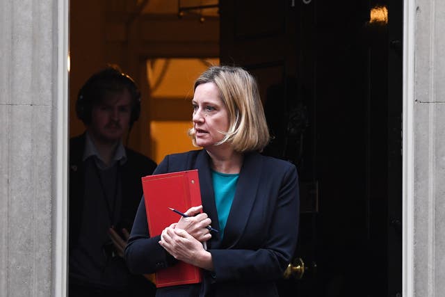 Former secretary of state for climate change Amber Rudd led the UK delegation at the Paris agreement