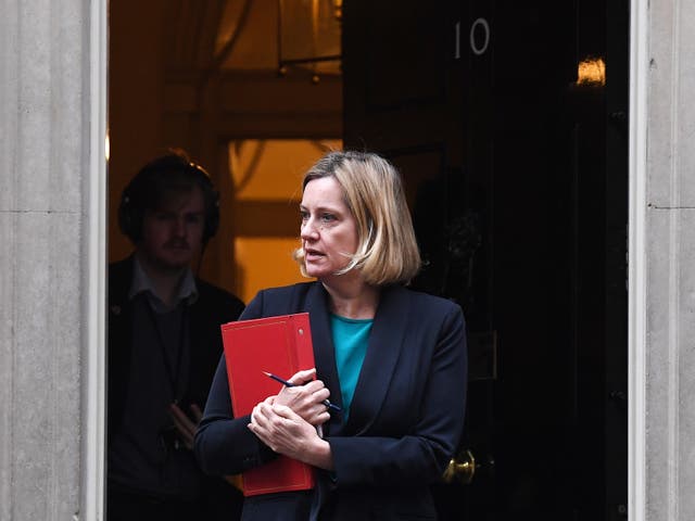 Former secretary of state for climate change Amber Rudd led the UK delegation at the Paris agreement