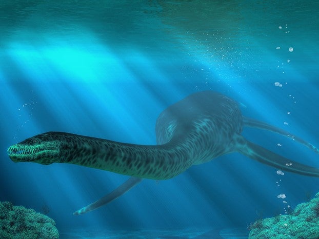 Plesiosaur