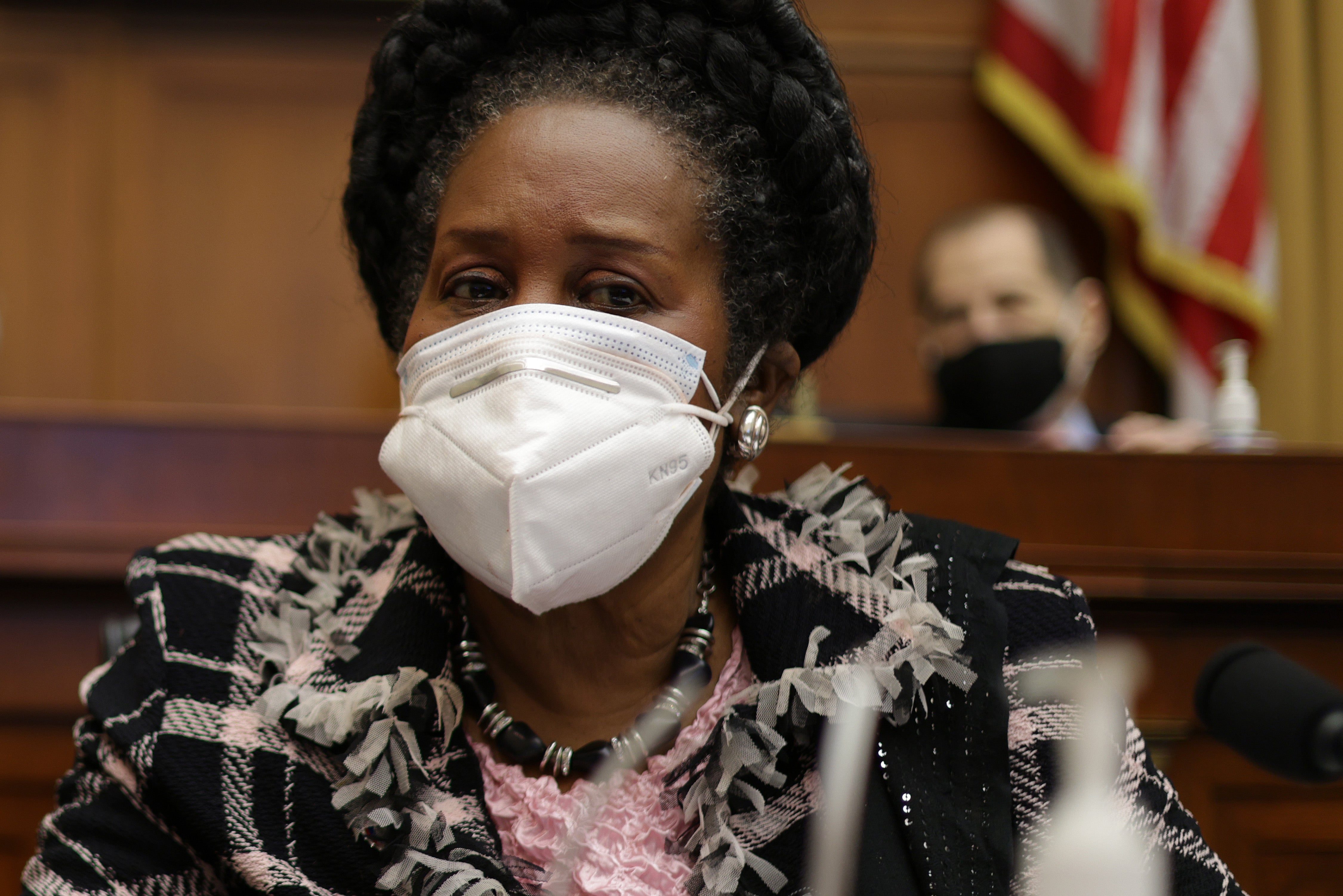 Sheila Jackson Lee, a Democrat representative, presented the bill to the House committee