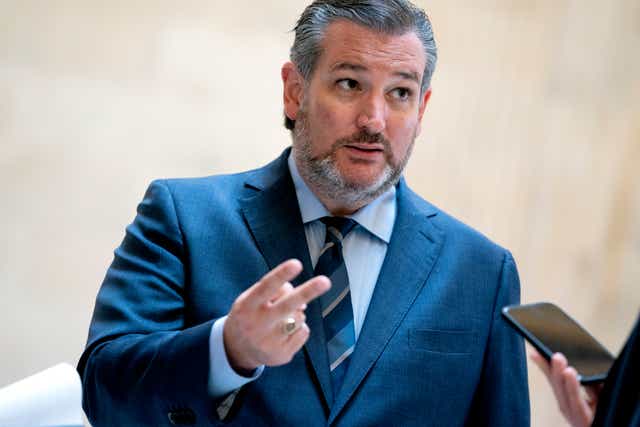 <p>Senator Ted Cruz complained that a Latina officer featured in a CIA promo video was ‘a long way from Jason Bourne’</p>