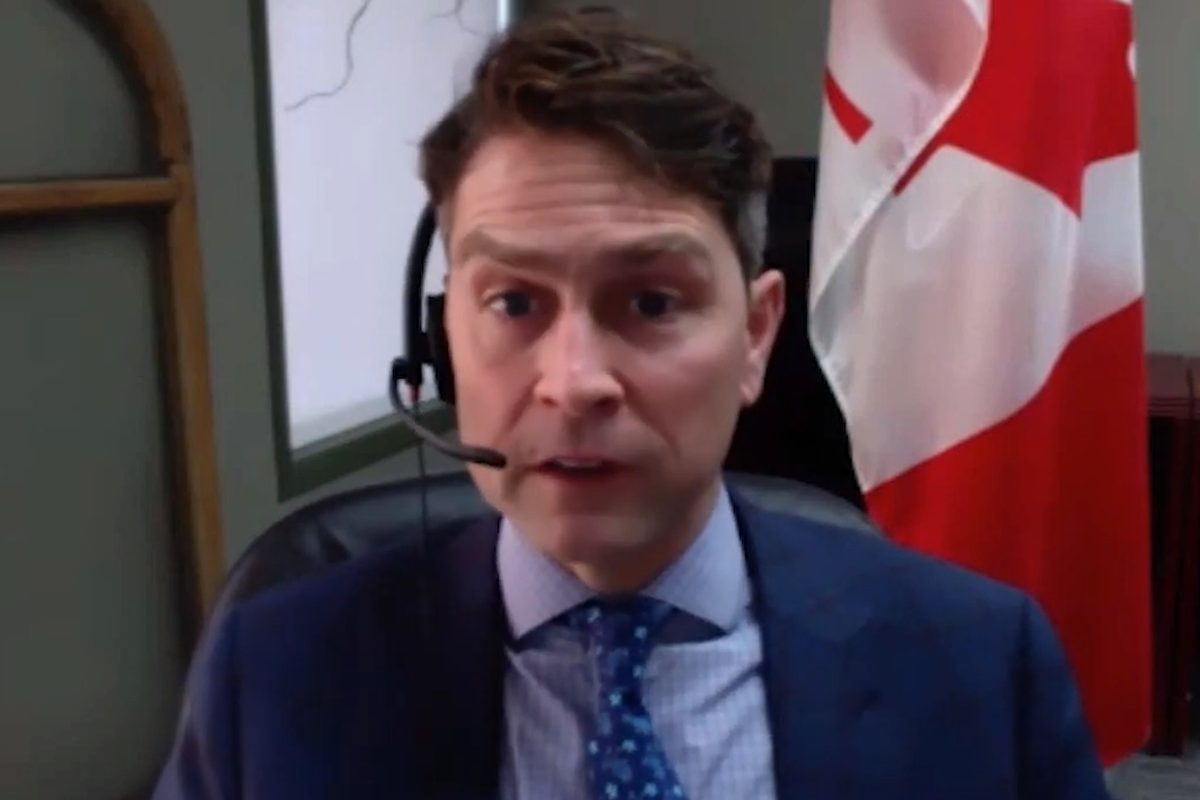 Politician Accidentally Records Himself Naked And Changing Clothes On Parliamentary Zoom The Independent