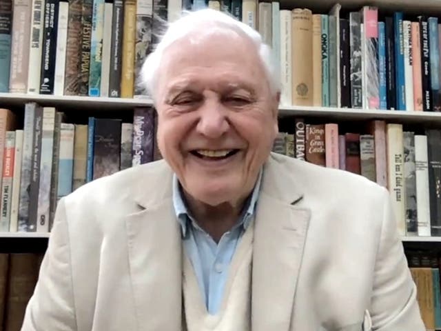 Sir David Attenborough habla sobre su nuevo documental 'The Year Earth Changed'