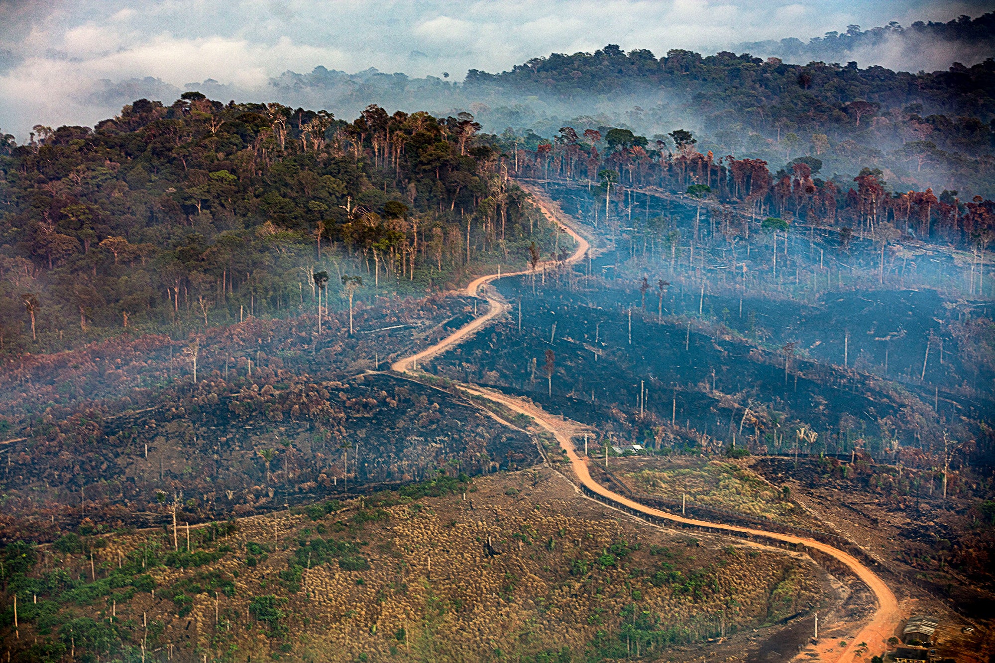 In the Tapajos basin an estimated 30 tons of gold are illegally commercialised each year