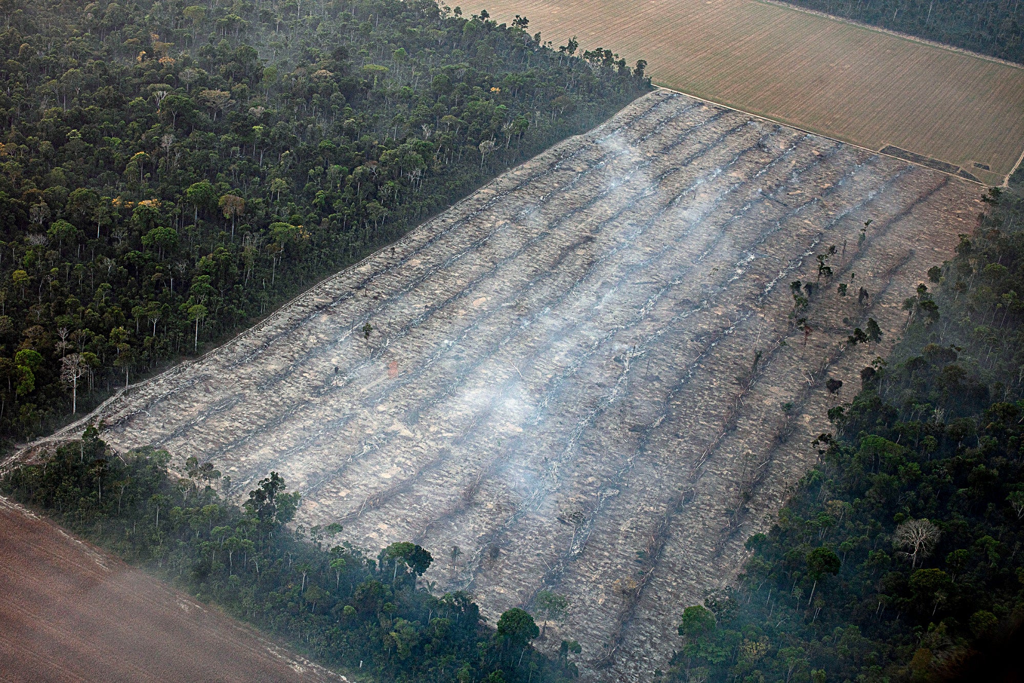 Fires and deforestation inside the Munduruku indigenous land