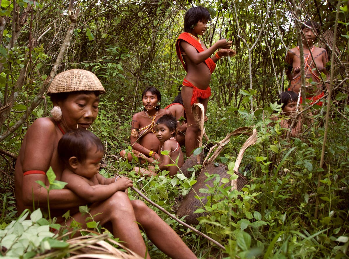 ‘He’s causing terrible suffering’: Bolsonaro’s horrific ‘death bill’ will destroy the rainforest