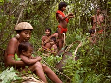 ‘He’s causing terrible suffering’: Bolsonaro’s ‘death bill’ will devastate the rainforest and its peoples