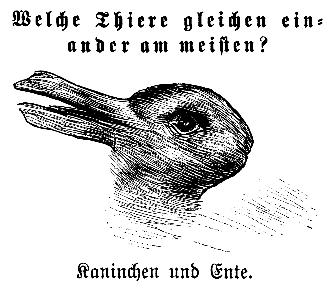 The earliest known version of the duck–rabbit illusion made famous by the philosopher Ludwig Wittgenstein, from the 23 October 1892 issue of Fliegende Blätter