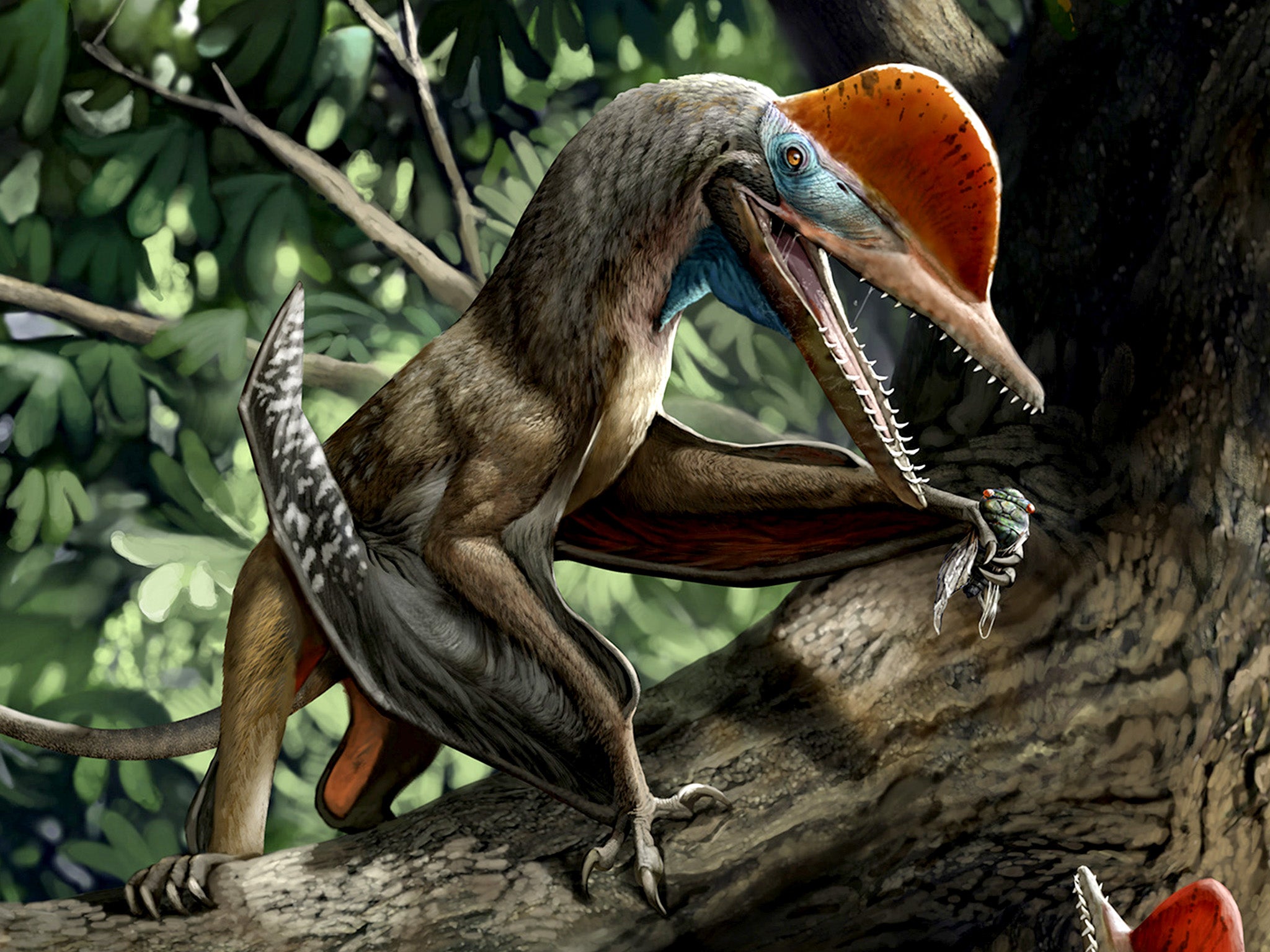 Monkeydactyl is thought to have hunted in the trees