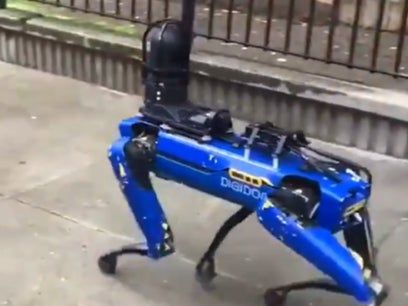 A video of one of the uncanny creatures went viral this week on Twitter, with the robot dog unit ‘Digidog’ seen prowling past the crowd across a pavement