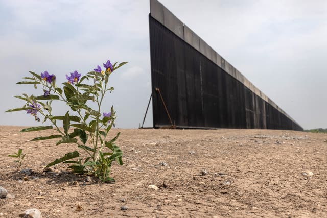 <p>A portion of US-Mexico border wall stands unfinished on April 14, 2021 near La Joya, Texas</p>