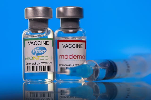 <p>Scientists looked at the mRNA vaccines Pfizer and Moderna</p>