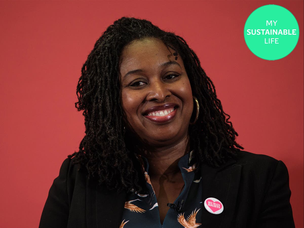 Dawn Butler MP: My Sustainable Life - ‘We could all learn more about environmentalism by following the example of Rasta men’