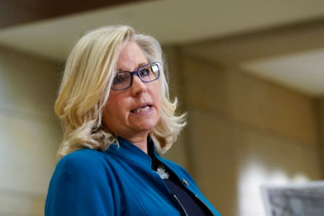 Liz Cheney is one of a group of Republicans who received a record donations following their vote to impeach former president Donald Trump