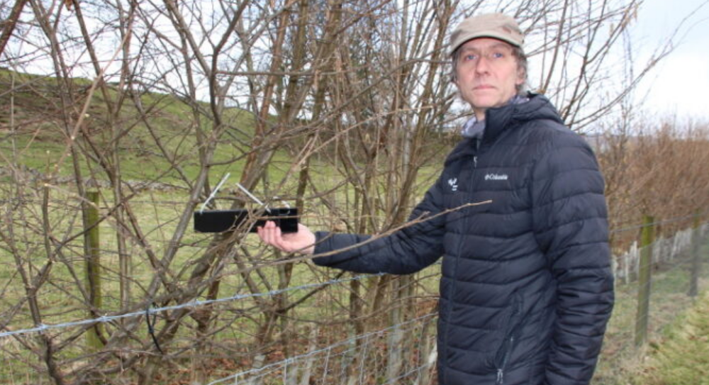 Phill Hibbs by one of the new hedgerows, with a tube that will be used to monitor the presence of dormice