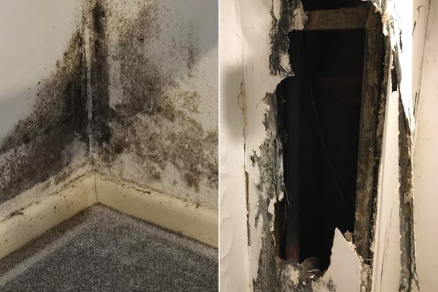Mould and rot seen in an image shared with Shelter