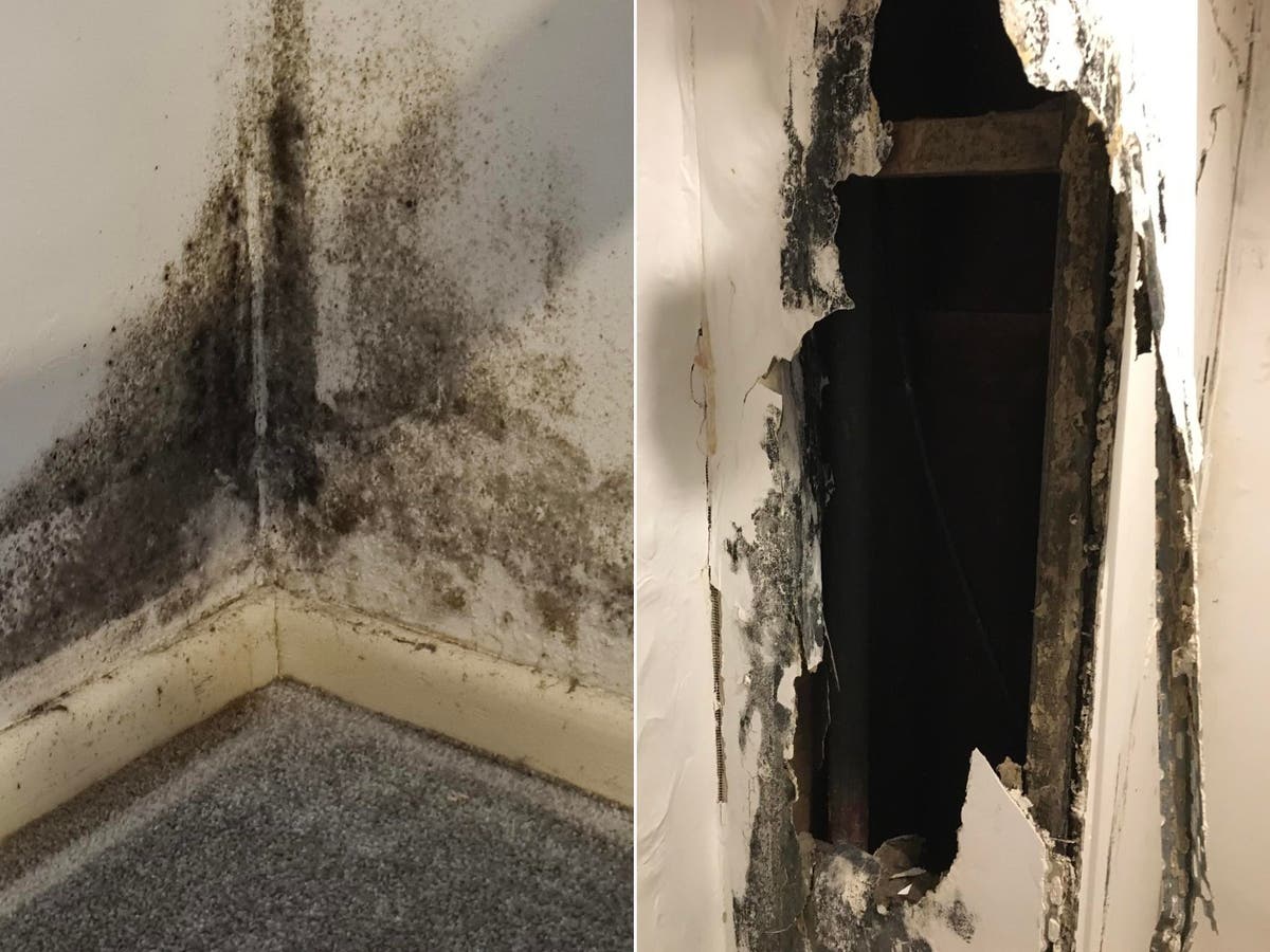 Renting directly linked to poor physical and mental health Renting directly linked to poor physical and mental health