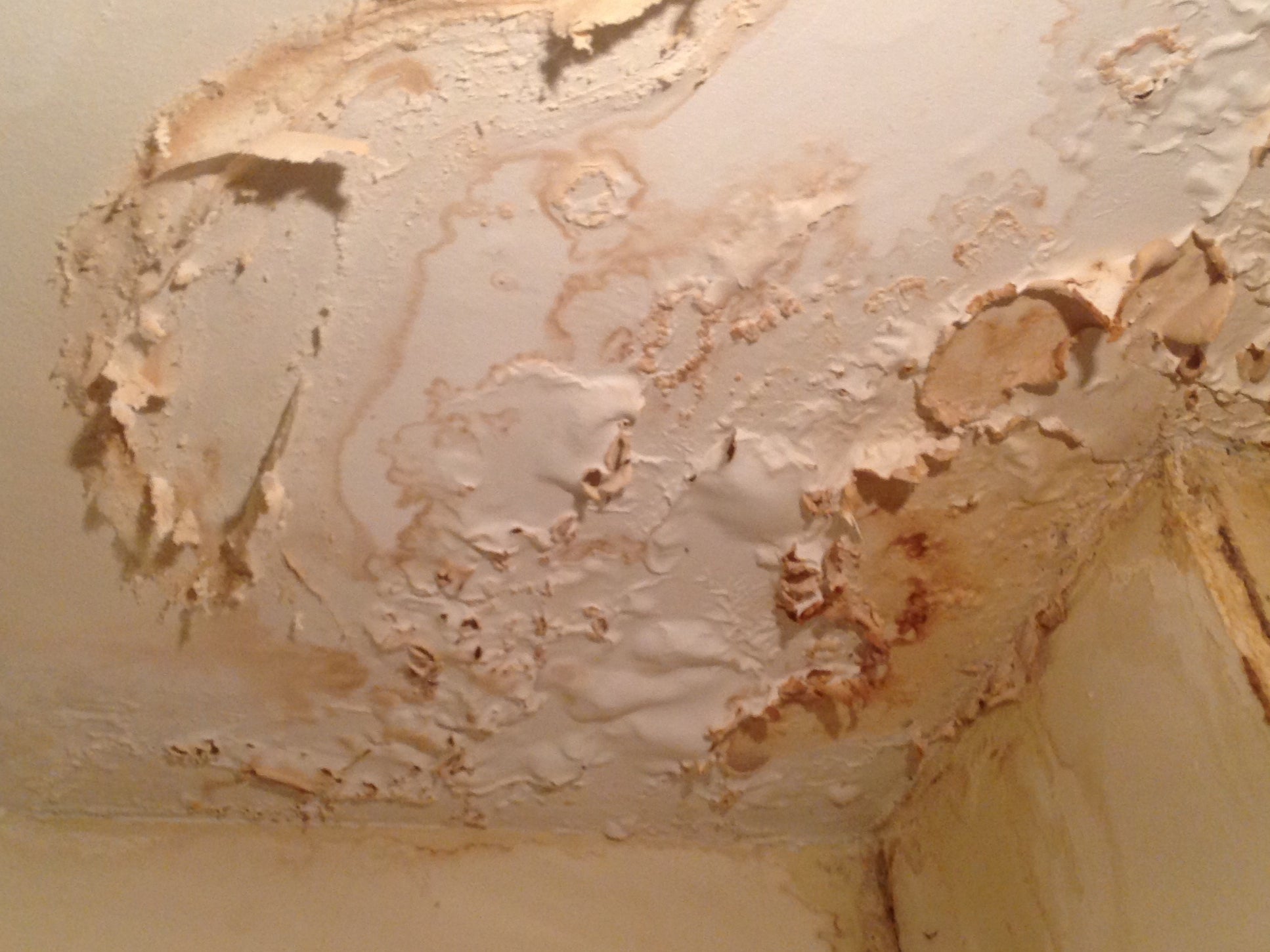 A leak-damaged ceiling seen in the home of one of the people surveyed by YouGov