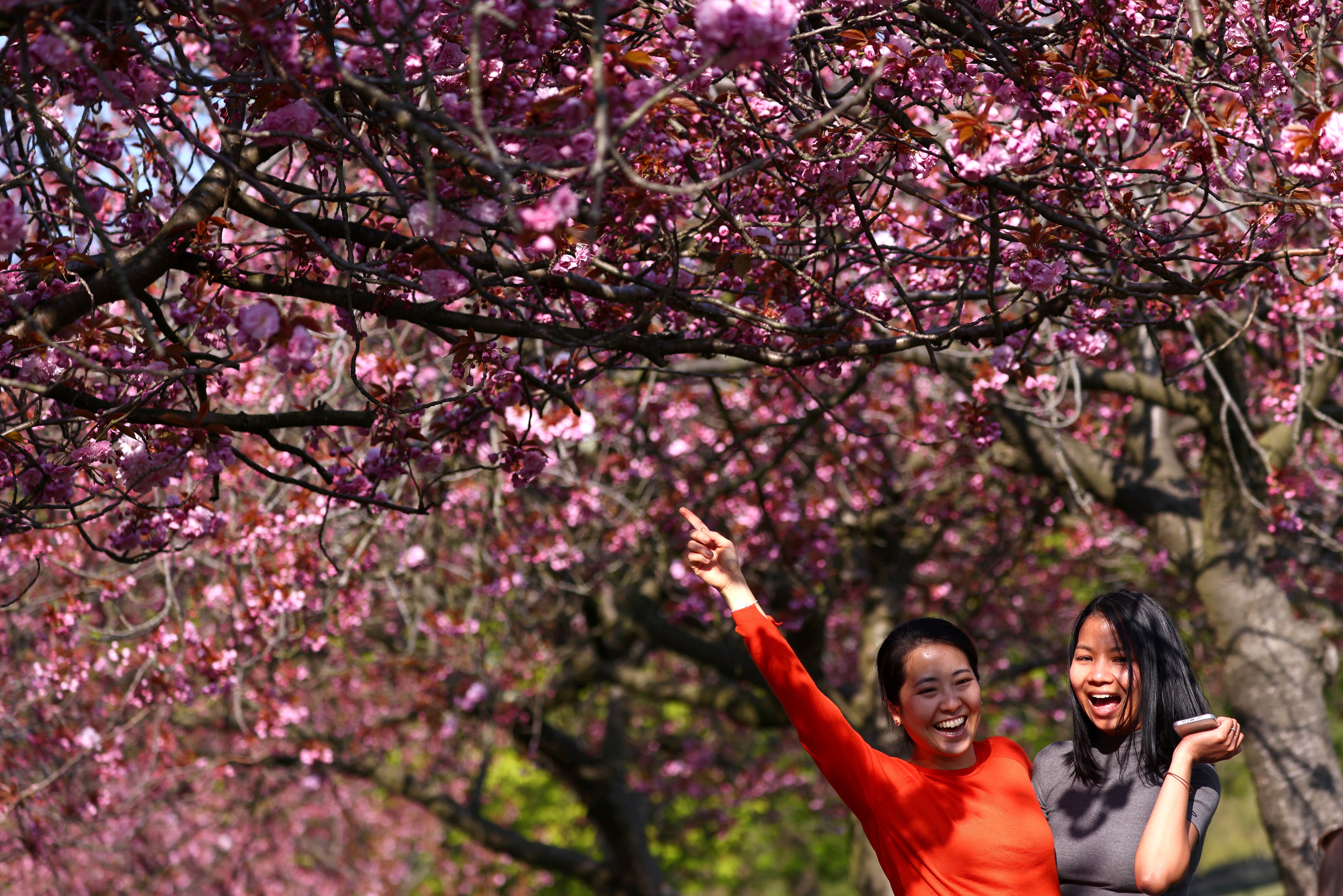 Women enjoy sunny weather in Greenwich, amid the coronavirus disease (COVID-19) outbreak, in London, Britain,