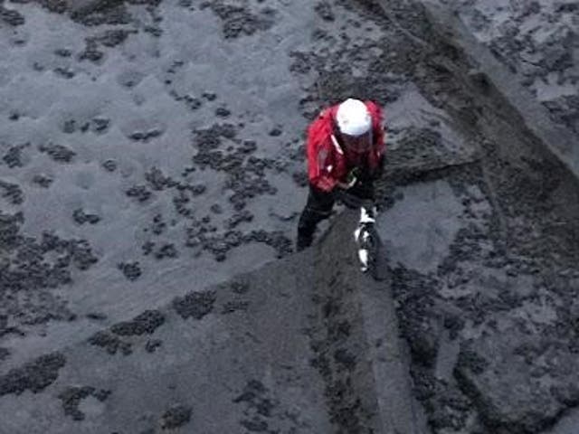 Cat rescued from River Mersey by firefighters