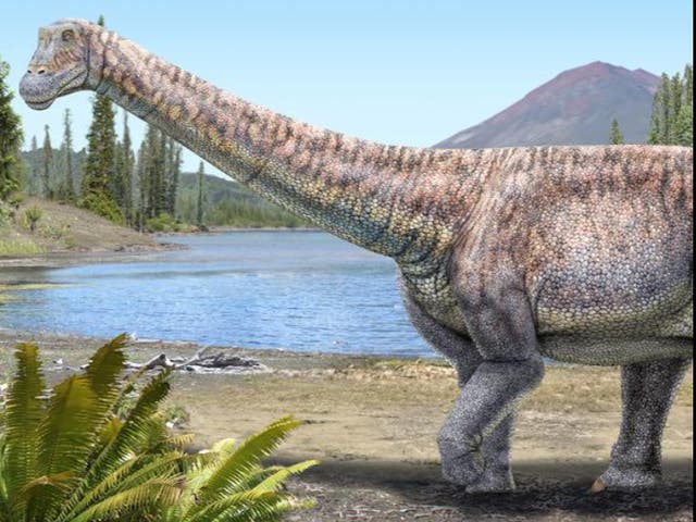 <p>An artist’s impression of the plant-eating dinosaur whose remains scientists have discovered in the Atacama desert in Chile</p>